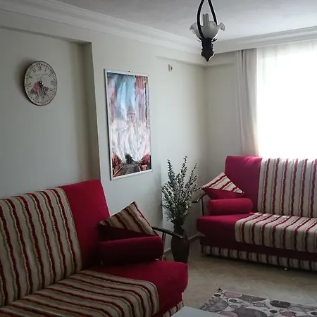 Zeynur Didim
